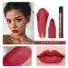 Dulele 10 Colors Matte Lipstick Set - Long Lasting Waterproof Red Lipstick Makeup Kit - Buy Online on GoSupps.com