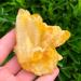 Yellow Phantom Quartz Crystal Cluster Specimen - JZIGTDEM (Color : 180g) - Buy Online on GoSupps.com
