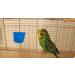 ORIBUKI 20 Pack Chicken Feeder Cups - Hanging Bird Waterer 8oz - Rabbit Food Bowl - Pigeon Feeding Dishes - Bunny Poultry Coop Drinker - Quail Seed Treats Dispenser - Duck Drinking Bottle - Buy Online on GoSupps.com