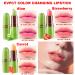 3Pcs Aloe Vera Strawberry Carrot Lipstick Set - Color Changing Lip Balm Stain with Green Magic PH Formula - Crystal Flower Jelly Lipstick Makeup for Women - Buy Online on GoSupps.com