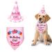 Suoxu dog birthday cute dog-birthday party hat cotton-triangle-scarf puppy birthday outfit pet-Happy Birthday-Bandana gift and party accessories decoration set rose