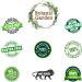 Botanic garden Pure Brahmi Sada Raw Herb | Bacopa Monnieri | Thyme-Leaved Gratiola - 500gms - Buy Online on GoSupps.com