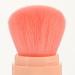POPETPOP 1 Set Foundation Brush Highlighters Makeup Lip Brush Blush for Cheeks Face Makeup Brush Concealer Brush Makeup Tool Blush Makeup Brush Plastic Cosmetic Eyebrow Brush Miss - Buy Online on GoSupps.com