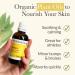 Pranarom USDA Certified Organic Arnica Virgin Plant Oil - 2 fl oz | Natural Massage Oil for Soothing Joints & Muscles - International Shipping - Buy Online on GoSupps.com