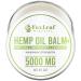 FOXLEAF Organic Hemp Oil Balm for Muscles Joints Back Knees Neck Fingers and Elbows with Arnica Camphor Menthol and Peppermint Extract - Made in USA