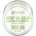 FOXLEAF Organic Hemp Oil Balm for Muscles Joints Back Knees Neck Fingers and Elbows with Arnica Camphor Menthol and Peppermint Extract - Made in USA