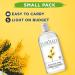 PUROLEO Witch Hazel Toner 16 Fl Oz/473 ML (Packed in Canada) Refresh and Revitalize Your Skin with | Premium Bottle | Luxury Skin Care Toner | Facial Toner for Postpartum & Skincare 473 ml (Pack of 1) - Buy Online on GoSupps.com