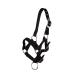 QHP foal halter foal nylon halter 4 foal sizes 6 colours (Shetland foal black) Shetland foal black