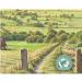 Taylors of Harrogate Yorkshire Tea 656g - Premium Black Tea Blend - Buy Online on GoSupps.com
