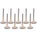 Soft Facial Applicator Brushes Champagne Facial Fan Mask Brushes for Everyday Use - Buy Online on GoSupps.com