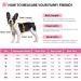 Queenmore XL Dog Life Jacket - Adjustable Ripstop Buoyancy Vest for Medium Dogs | Durable Rescue Handle - Pink Camo Shark Design - Buy Online on GoSupps.com