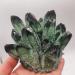 Gems for Decoration 500-600g Natural Green Ghost Quartz Crystal Cluster Crystals raw Gem Specimen for Home&Office Decoration fengshui Aura Crystal - Buy Online on GoSupps.com