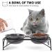 Y YHY Raised Cat Food Bowls with Stand - Small Ceramic Pet Bowls for Cats or Dogs - 12 OZ Grey - Buy Online on GoSupps.com