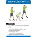 Stop!Fitness Fast Power Plyometrics Training Tickets | Exercise Cards - German Version (66x100mm) - SAQ Series - Buy Online on GoSupps.com