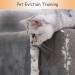 Cat Scratch Deterrent Spray Cat Training Spray Anti Scratch Repellent Spray Anti Cat Scratching Deterrent Protect Your Furnture Carpet and Plants 120ml - Buy Online on GoSupps.com