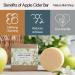 Apple Cider Shampoo Bar - Removes Build-Up for Healthy Hair & Scalp | Natural & Eco-Friendly eCommerce Shipping Worldwide - Buy Online on GoSupps.com