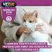 VETIQ Nutri-Vit Plus for Cats (70g) - Essential Cat Supplement for Illness Recovery and Energy Boost - Buy Online on GoSupps.com