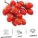 HOMSFOU 10pcs Vine Tomatoes Fake Tomato Decor Christmas Decorations Decorative Artificial Fruits Fake Fruit Home Wedding Decor Artificial Tomato Dinner Party Red Tomato Plastic Miniature Redx10pcs 12X20CMx10pcs - Buy Online on GoSupps.com