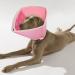 Adjustable XL Pink Pet Collar | Comfortable Protective Collar for Dogs | Velcro Fastener & Kegel Neck Straps | Post-Op Wound Protection - Buy Online on GoSupps.com