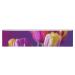 Resistance Bands Exercise Bands Vibrant FlowerPattern Printed Elastic Band Leg Bands Resistance Fitness Bands Fabric Resistance Bands