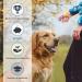 Dog Training Clicker Set - 2-Pack Hand Loop Clickers for Dogs Cats & Horses | Effective Clicker Training Tools - Buy Online on GoSupps.com