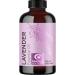 Pure Lavender Oil Essential Oil - Premium Lavender Essential Oil for Hair Skin and Nails - Lavender Aromatherapy Oil for Diffusers Humidifiers and Linens Plus Natural Bath Oil for Home Spa Self Care