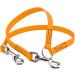 BioThane Dog Coupling Leash - 0.3m Pastel Orange | Durable & Adjustable Width for Two Dogs - Buy Online on GoSupps.com