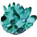 Home Natural Green Ghost Phantom Quartz Crystal Cluster Specimen Home Goods (Size : 800-900g) - Buy Online on GoSupps.com