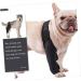 CORHAD Dog Leg Braces for Hindleg Comfortable Dog Knee Dog Back Leg Protector Puppy Pet Mesh Fabric Care M As Shown - Buy Online on GoSupps.com