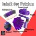 PFIFF 100576 Children's Grooming Box - 6-Piece Horse Care Kit Purple | International Shipping Available - Buy Online on GoSupps.com
