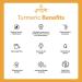Organic Go-Yogik Lakadong Turmeric Powder | Lab Tested 8.5% Curcumin | 5.3oz - Buy Online on GoSupps.com