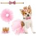 Fashion Party Supplies Tutu Skirt Pink Gift for Small Dogs Cat Pet Birthday Party Dress Crown Hat Collar Cat Dog Birthday Set (Pink) - Buy Online on GoSupps.com