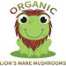 Creekside Natural Focused Mind Teen: Memory & Focus Support w/ Lion's Mane - Pediatrician Formulated, Vegan - 60 Capsules - Buy Online on GoSupps.com