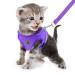 Femax dog harness and linen set for dogs soft mesh padded dishes for puppies and cats reflective adjustable breathable breathable breastware for walking running training s (breast 30-34 cm) purple