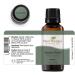 Buy Plant Therapy Scots Pine Essential Oil 30 mL | 100% Pure Undiluted & Therapeutic Grade - International Shipping Available - Buy Online on GoSupps.com
