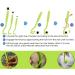 Emwel Tick Remover Tools for Dogs 4Pcs Stainless Steel Painlessly Tick Professional Tick for Dogs Cats Horses and Humans Pets Green - Buy Online on GoSupps.com