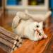 tiopeia 30 PCS Cat Catnip Sticks Natural Matatabi Chew Sticks as Dental Treat Teeth Grinding Chew Toys for Cat Kitten Kitty - Buy Online on GoSupps.com