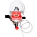 Buy Head Model Simulator - Realistic 3D Anatomical Models for Sale | Worldwide Shipping - Buy Online on GoSupps.com