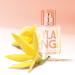 SOLINOTES Ylang Perfume for Women - Eau De Parfum | Delicate Floral and Soothing Scent - Made in France - Vegan - 1.7 fl.oz - Buy Online on GoSupps.com