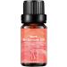 Po-Lifting Massage Oil - 10ml Hip Lift Up Essential Oil for Bigger Buttocks | Firming Massage Oil for Women & Men - Buy Online on GoSupps.com