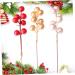 DECHOUS 40 Pcs Christmas Fruit Winter Christmas Tree Decorations Berry Stems Christmas Red Berries Branches Home Decor Christmas Tree Fake Berry Red Fruit Skewers Household Foam Goldenx2pcs 17x3cmx2pcs - Buy Online on GoSupps.com