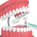 Buy Healifty 2pcs Dental Mirror with Light - Green & Orange Tooth Inspection Tools for Optimal Oral Care - International Shipping Available - Buy Online on GoSupps.com
