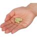 Lucidia Seasonal Support | Natural Nasal Sinus & Respiratory Health | Fast-Acting Immune Boost with Quercetin & Reishi Mushroom | 60 Capsules - Buy Online on GoSupps.com