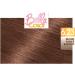 Garnier - Belle Color - Terre de Soleil - Permanent Hair Color Blonde - 6.23 Radiant Dark Blonde - Pack of 2 - Buy Online on GoSupps.com