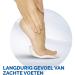 Scholl Foot Mask with Lavender - Nourishing & Relaxing Foot Cream - Expert Care for Healthy Feet - 1 Pair - Shop Internationally - Buy Online on GoSupps.com