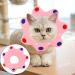 Adjustable Cat Recovery Collar 2 PCS Crown Shape Post Surgical Soft Pet Protection Collar for Kitten Cats Puppy (Pink & Yellow) Rose Yellow M - Buy Online on GoSupps.com