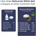 Sel Blanc Salicornia Saltwise Substitut De Sel Faible Teneur En Sodium Sel Min ral V g tal Casher 100% Naturel Sans Additifs (200 G) 1 g (Lot de 1) - Buy Online on GoSupps.com