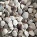 Natural Quartz Crystal White Shell Heart Natural Stones Minerals Crystals s for Home Decoration Home Office Decor 30-40mm 1pcs - Buy Online on GoSupps.com
