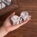 Feyarl Engraved Elephant Keepsake Box for Kids - First Curl and Tooth (6 x 4 x 3 cm) - Buy Online on GoSupps.com