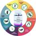 Buy Xiao Yao Wan - Herbal Pills for Women s Health | Support Irregular Cycles PMS Menopause | All Natural 400ct (2 Bottles) - International Shipping Available - Buy Online on GoSupps.com